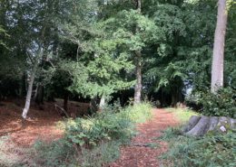 Cholesbury camp ancient hill fort site