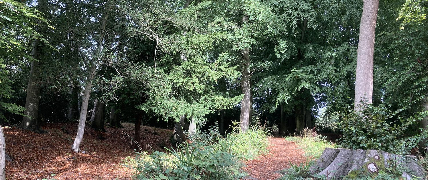 cholesbury camp hill fort