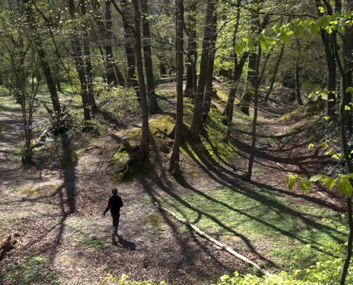 Young teenage boy in silhouette as he runs down into a dip into beech woods on a summers day.Srong sunlight through the trees creatiing long shadows of tree trunnks.