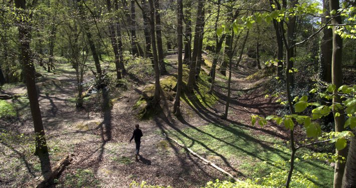 Young teenage boy in silhouette as he runs down into a dip into beech woods on a summers day.Srong sunlight through the trees creatiing long shadows of tree trunnks.