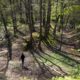 Young teenage boy in silhouette as he runs down into a dip into beech woods on a summers day.Srong sunlight through the trees creatiing long shadows of tree trunnks.