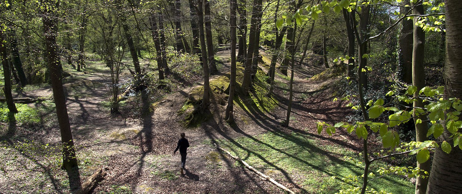 cowcroft-woods-ley-hill