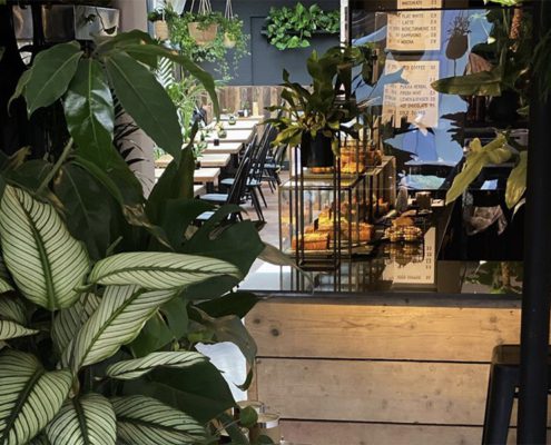 Interior of Roots cafe, wooden tables, counter with cakes, and big plant in foreground