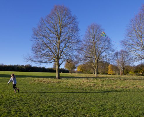 Young girl running with a kite on a late autumn day in the park
