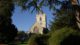 St Mary's Church viewed through evergreen trees