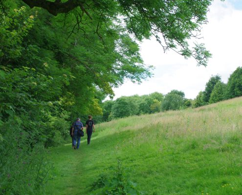 Adult and children walking along edge of park near woodland