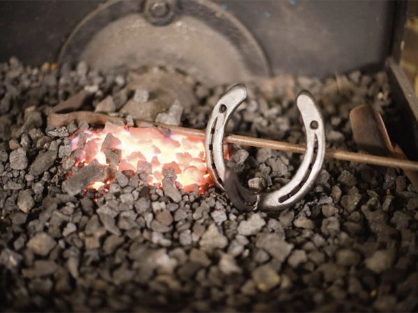 horseshoe in fire / embers in coal