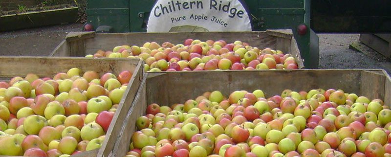 Image of apples and Chiltern Ridge logo