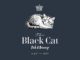 White etched drawing of black cat on dark background, and Black cat wording