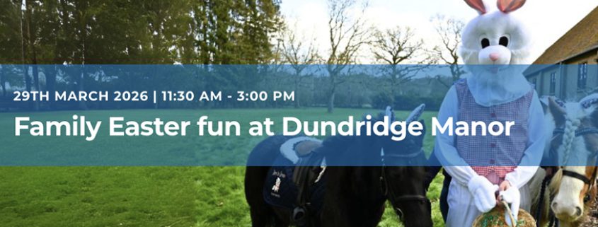 person in Easter rabbit costume with donkeys