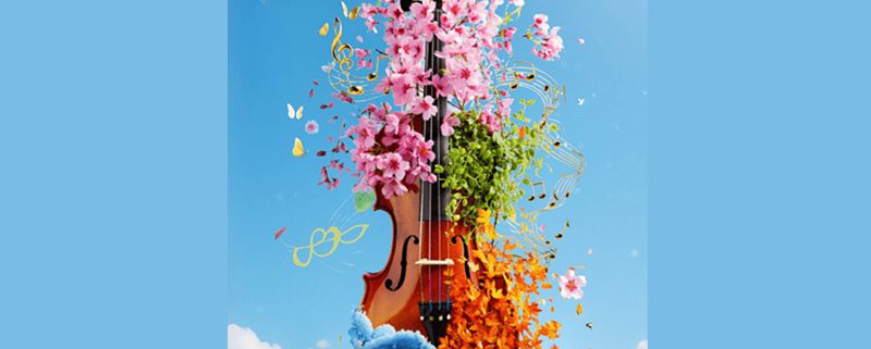 A cello floating in the sky decorated with flora and foliage symoblising each of the four seasons