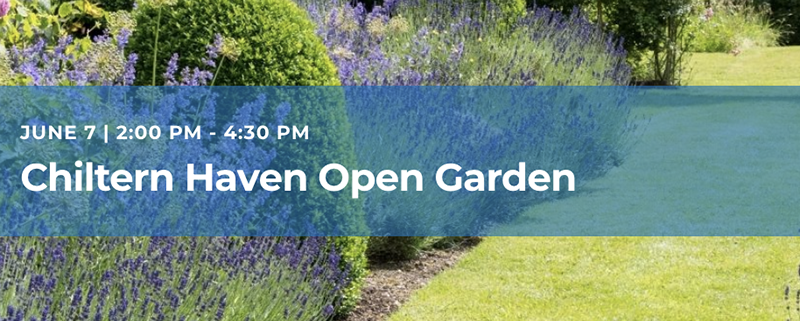 shrubs and lavender bushes bordering a neat mowed area of lawn